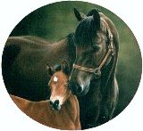 horse