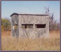 Buck Hut